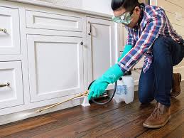 Best Pest Prevention Services  in Contoocook, NH