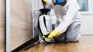 Best Termite Inspection and Treatment  in Contoocook, NH